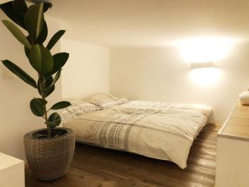 Stylish Loft Apartment City Center, Viena (foto 4)