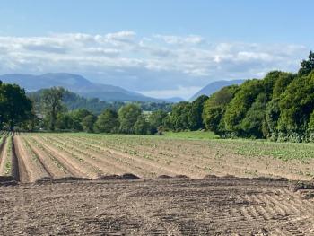 Spacious cottage - walk to Crieff, Crieff (fotografie 5)