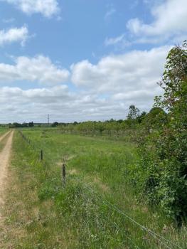 Apt17 - Quiet Countryside Apartement - only minutes from Billund, Биллунн (фото 4)