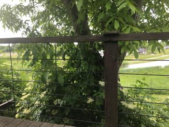 Widokówka, Tarnobrzeg (foto 5)