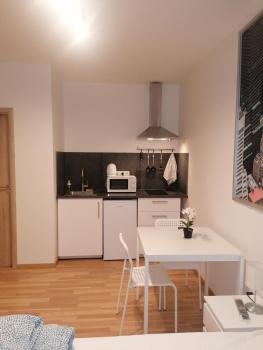 Studio brand new apartment #28 in new building with free parking in city center, Prague (photo 3)