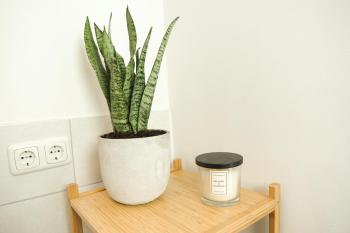 HOMY I Gemütliches Apartment Gohlis Netflix und W-LAN, Lipsko (fotografie 5)