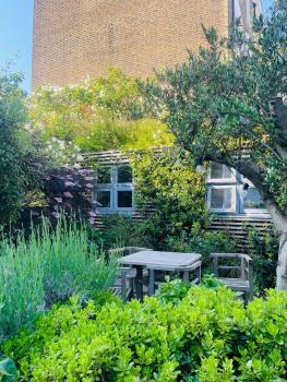 Camden Town Garden Cabin, Londyn (zdjęcie 2)