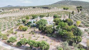 Cortijo Don Simón, Córdoba (photo 3)