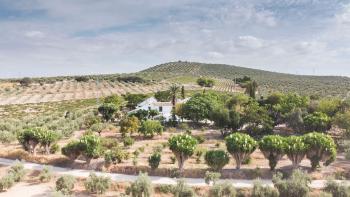 Cortijo Don Simón, Córdoba (photo 2)