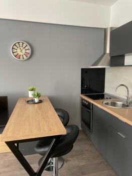 Kamche apartment, Skopje (photo 4)