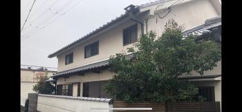 仔鹿 kojika, Nara (fotografie 4)