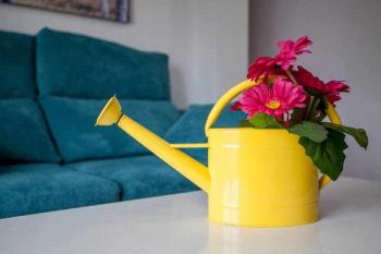 Reus, Lovely Flat Close to Center, Valencie (fotografie 5)
