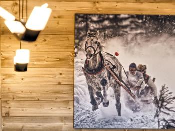 VisitZakopane - Tatra Ski Apartment, Zakopane (fotografie 4)