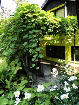 Blumauer Apartments, Liubliana (foto 3)