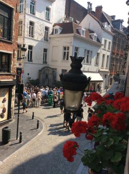 Hotel La Vieille Lanterne, Brüssel (Foto 3)