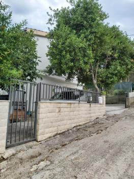 Jungle Jam, Trogir (photo 2)