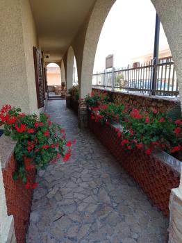 Etesia, Olbia (Foto 4)