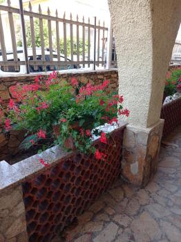Etesia, Olbia (Foto 3)