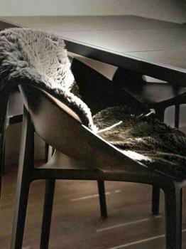 Design Apartment - Wohnen mit Stil und Komfort, Lipsko (fotografie 3)