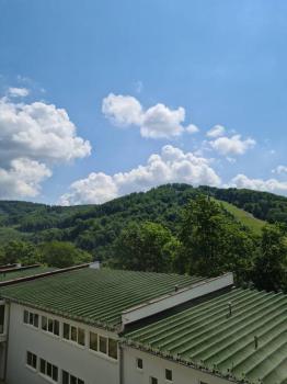Rabarbar, Ustroň (fotografie 3)