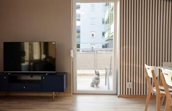 Apartament Amerigo, Breslau (Foto 5)