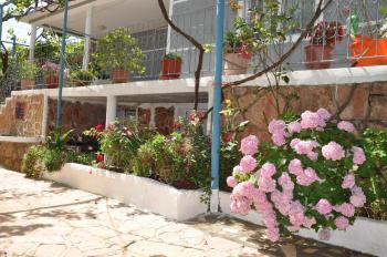 Zace Studios, Ksamil (photo 4)