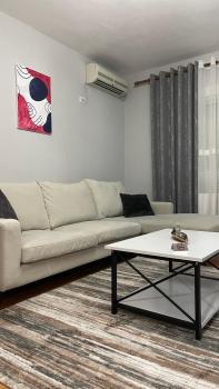 One-Bedroom Apartment Near U.S. Embassy, Tirana (photo 5)