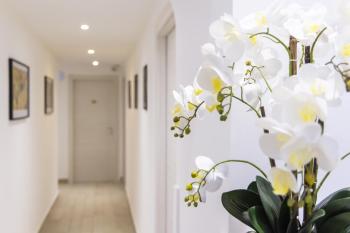 Hotel Orbis, Rome (photo 4)