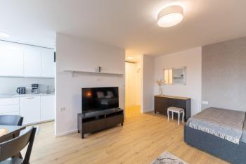 Elegant Tour As studio Gilly with open views and a balcony in the center Ljubljana, Lublaň (fotografie 5)