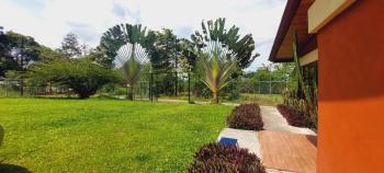 Green Leaf House, Fortuna (foto 5)