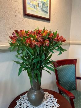 Aparthotel Karmel, Cracovia (foto 5)