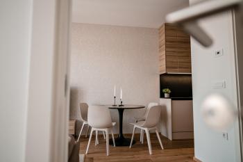 Sodoben apartma v centru Ljubljane, Lublaň (fotografie 2)