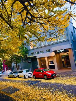 Gamma Hotel, Auckland (fotografie 2)