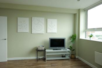 1 bedroom city centre apartment, Birmingham (fotografie 3)