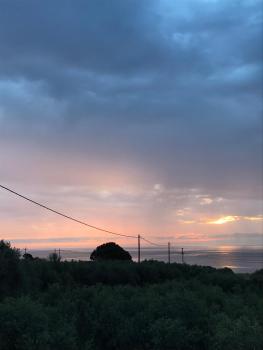 Ελαίας λειμών, Monemvasia (fotografie 4)