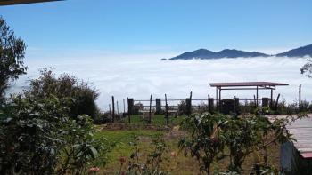 The Views - True Baduaga Living, Udagamandalam (Foto 5)