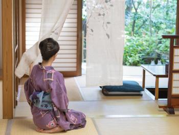 Nonohanatei komurasaki, Shimoda (foto 5)
