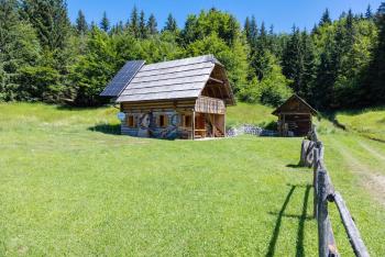 Apartment in Chalet Goldilocks, Zgornje Gorje (photo 5)