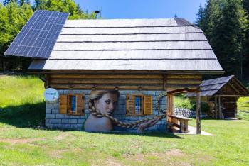 Apartment in Chalet Goldilocks, Zgornje Gorje (photo 2)