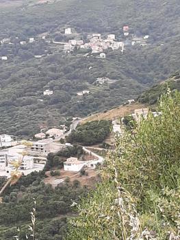 Ribellu, Bastia (fotografie 5)