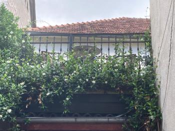 Old Risan Apartment, Risan (fotografie 5)