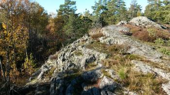 Bed&Breakfast in nature 12 min from city free bikes, Stockholm (photo 5)