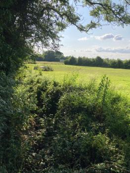 Raglans, Swindon (foto 5)