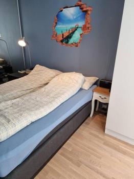 Hele Leiligheten, Grünerløkka, Oslo (foto 3)