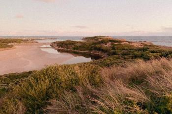 Bluey, Warrnambool (fotografie 4)