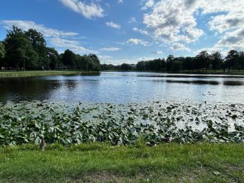 Omulīgs dzīvoklītis Āgenskalnā, Riga (foto 4)