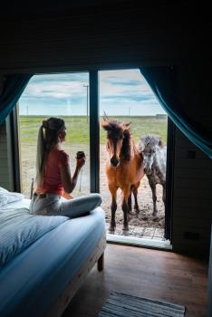 Sleeping with the Horses, Hvolsvöllur (photo 2)