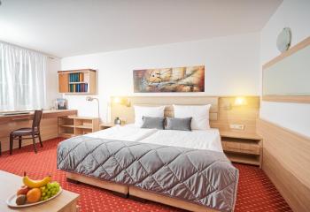 Apart Business Hotel, Stuttgart (zdjęcie 4)