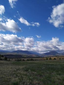Ижата - топлина и уют, Borovitsa (foto 4)