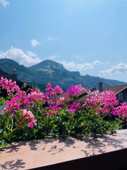 Berge, Wandern, Erholung pur! Fewo Tinka-Haus Katja, Bad Hindelang (Foto 3)
