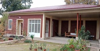 House4you, Taschkent (Foto 5)