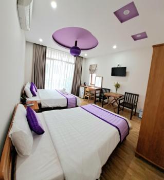 Ms Tri Homestay, Hoi An (photo 5)