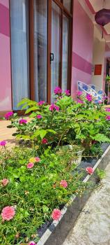 Ms Tri Homestay, Hoi An (zdjęcie 5)