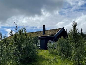 Linnaeus - 6 person cabin, Ол (фото 4)